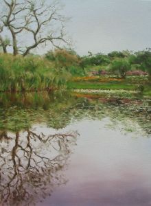 C:\fakepath\kirstenbosch.jpg